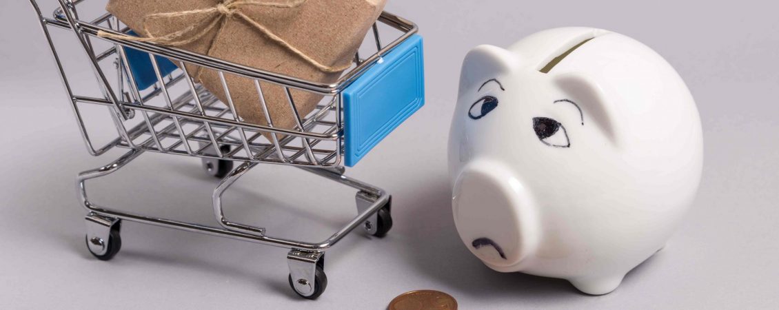 sad-piggy-bank-with-shopping-basket (1)